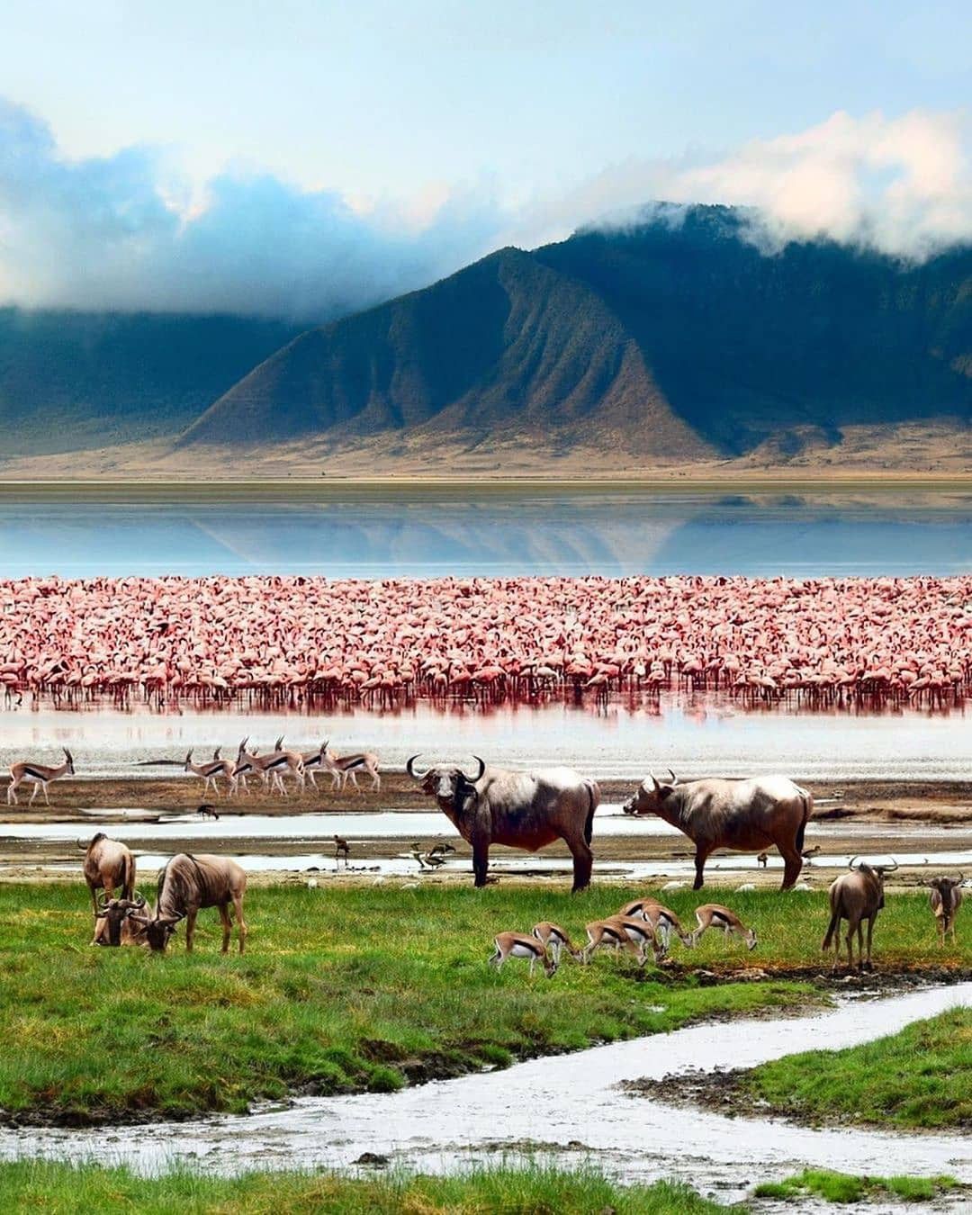 Lake Manyara National Park