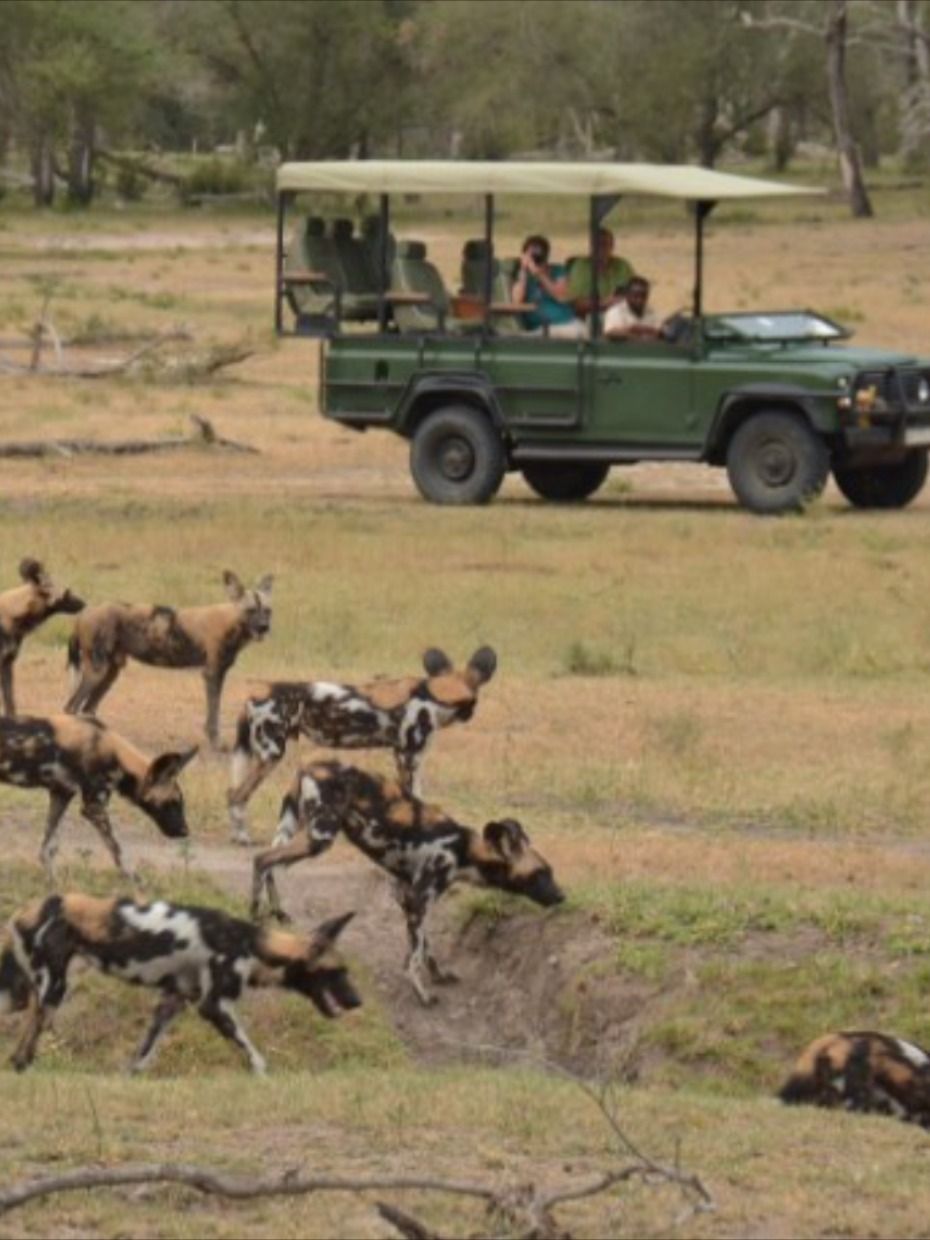 Nyerere National Park