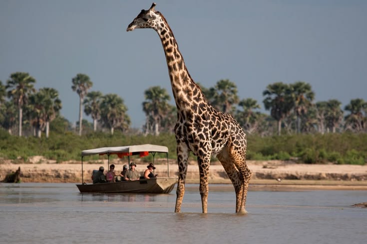 Nyerere National Park