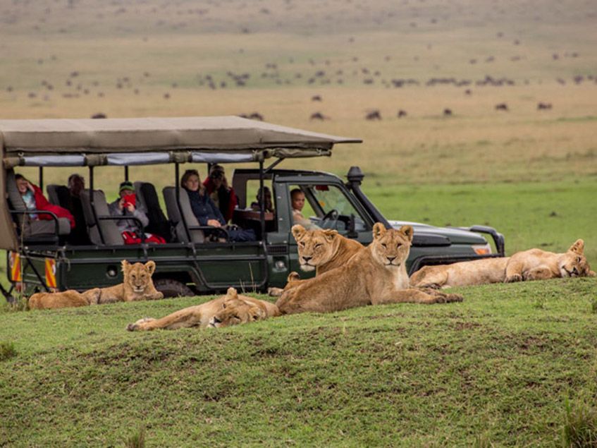 7-Day Maasai Mara, Amboseli, Naivasha, Hell's Gate & Nakuru Safari