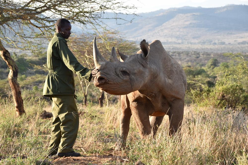 Kenya’s Rhino Renaissance: A New Reason to Put Laikipia on Your Safari Map