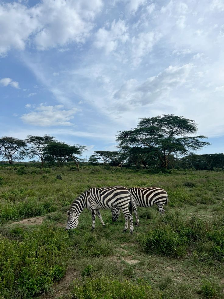 Lake Naivasha
