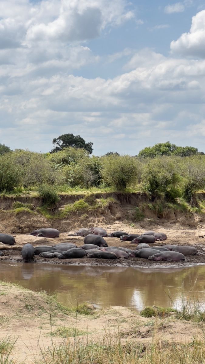 Maasai Mara National Reserve